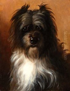Terrier
