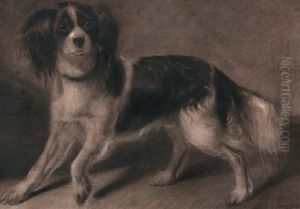 Portret Van Een Cavalier King Spaniel Portret Van Een Cavalier King Spaniel