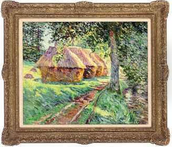 Summer Light - view 1