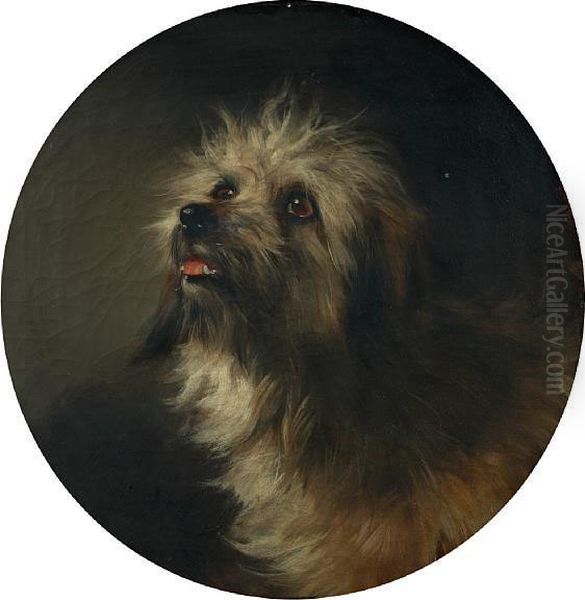 Portrait Of A Terrier - view 1