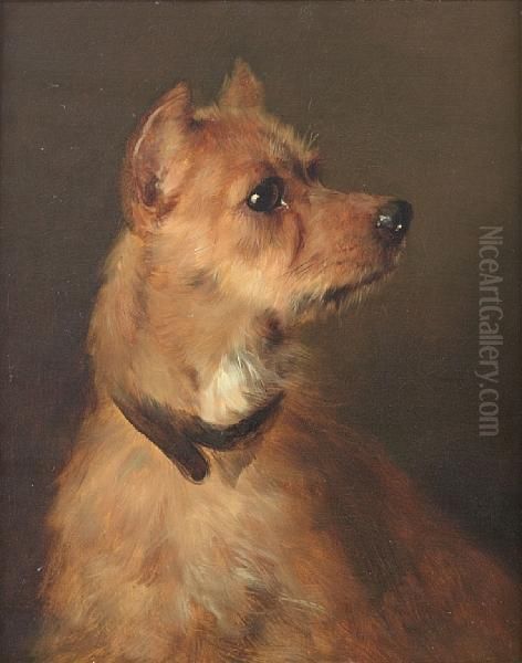 A Terrier - view 1
