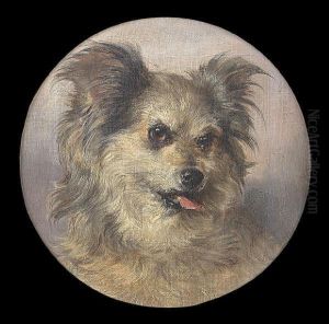 A Rough-coated Terrier