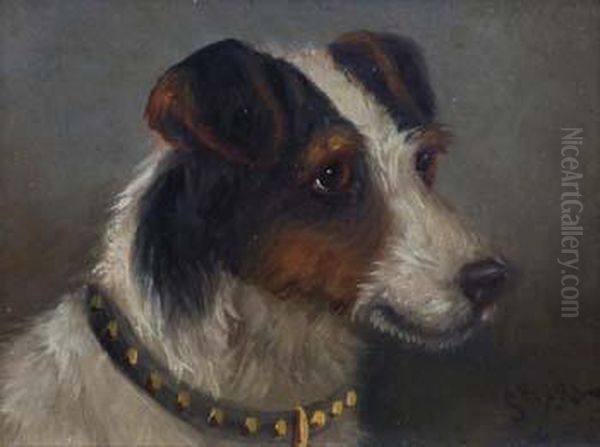 Head Of A Terrier - view 1