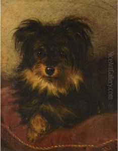 A Yorkshire Terrier On A Cushion by George Earl