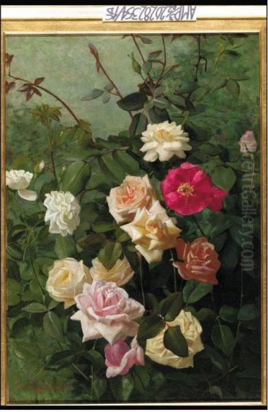 White, Pink, Yellow And Red Roses - view 1