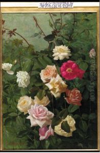White, Pink, Yellow And Red Roses by T. George