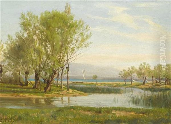 The Shore Of Lake Geneva - view 1
