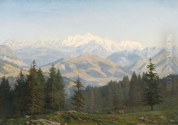 Mont-blanc Vu Des Voirons - view 1