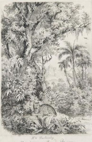 Projet D'illustration Avec Un Leopard Dans Une Forettropicale - view 1