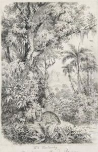 Projet D'illustration Avec Un Leopard Dans Une Forettropicale by Wilhelm Georgy