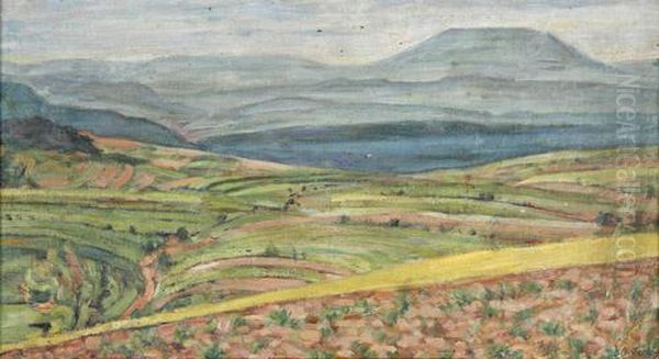 Weitewiesenlandschaft - view 1
