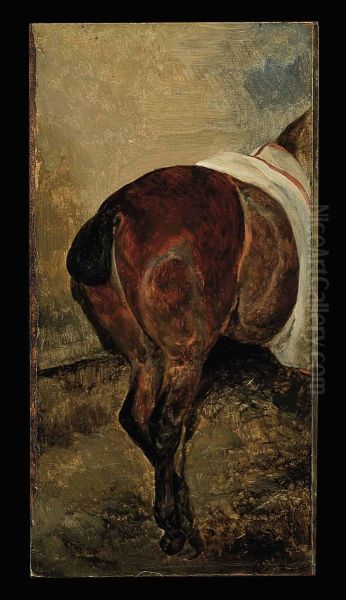 A Horse Croup - view 1