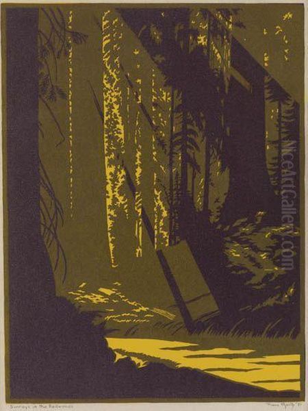 Sunrays In The Redwoods - view 1