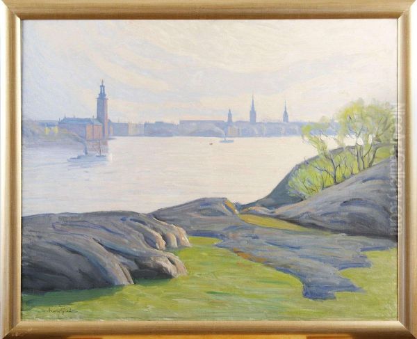 Stockholmsvy Fran Langholmen - view 1