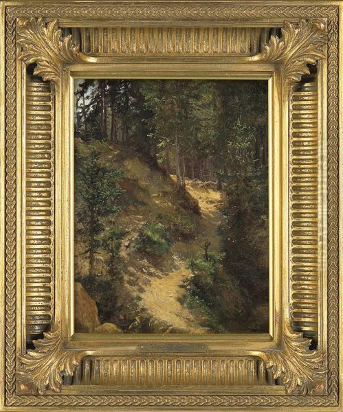 Mountain Road - view 1
