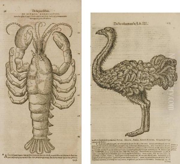 Historiae Animalium - view 1