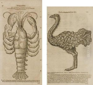 Historiae Animalium