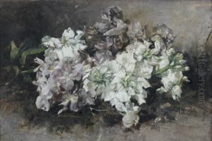Nature Morte De Fleurs Nature Morte De Fleurs