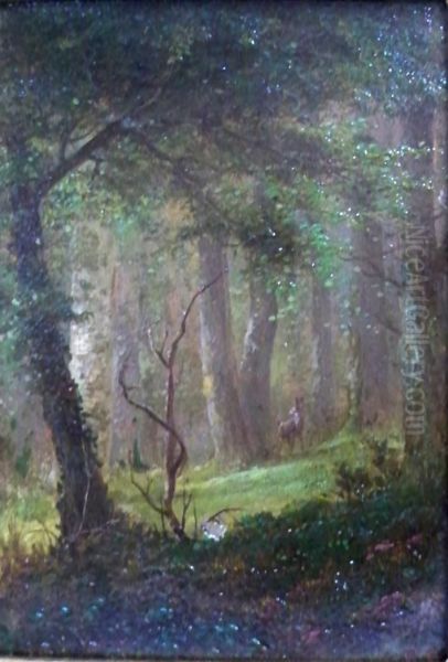 Forest Interior With Deer - view 1