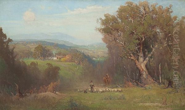 Herding The Sheep - view 1