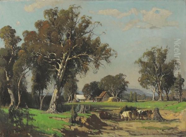 Country Homestead, Victoria - view 1
