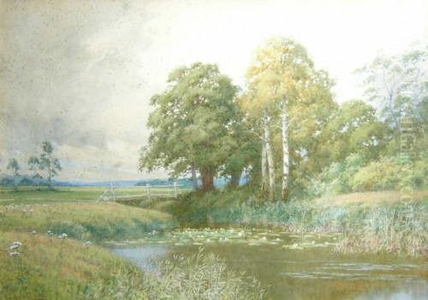 Lilly Pond In A Meadow - view 1