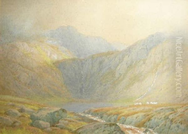 A Highland Loch, Sheep Grazing In Thedistance - view 1