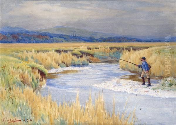 Summer Landscape, Withangler - view 1