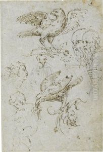Studies After Raphael's 'madonna Of The Fish' And Two Studies Of A Bird by Cristifano Doceno Gherardi