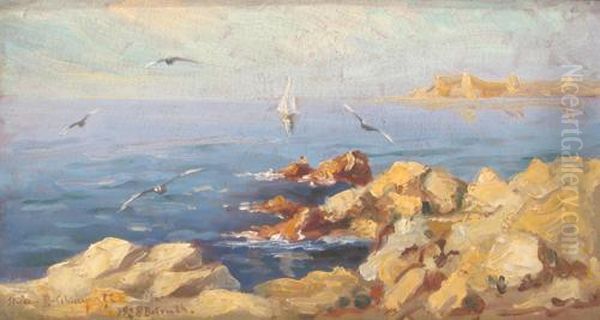 Rocky Shore - view 1