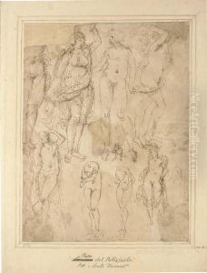Studies After The Antique