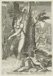 Venus Wounded By Rose Thorns