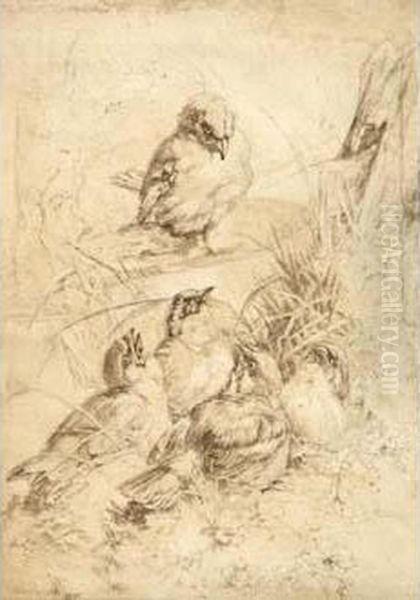 Petits Oiseaux". - view 1