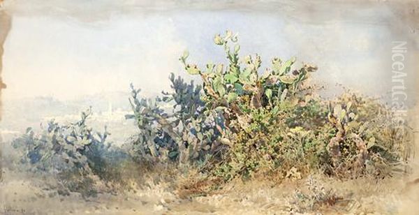 Cacti With Village In The Background - view 1