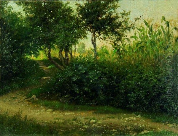 Stradina Con Il Grano - view 1