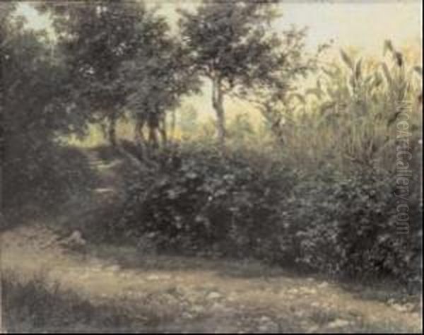 Il Campo Di Meliga - view 1