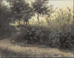 Il Campo Di Meliga by Raffaele Giannetti