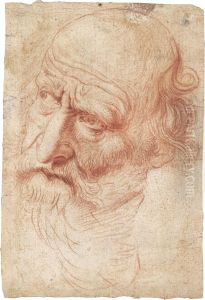 Head Of A Bearded Man Turned To The Left by Pietro Francesco Gianoli
