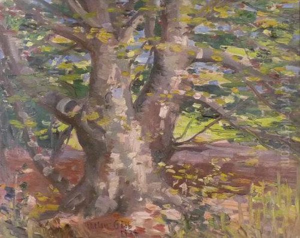 Wooded Landscape - view 1