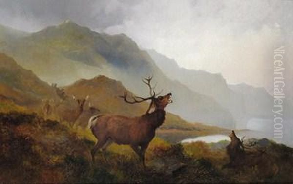 Deer In The Highlands - view 1
