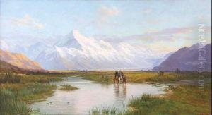 Mount Cook From Tasman Valley