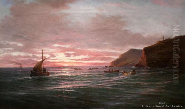Morning, Otago Heads - view 1