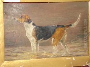 'trouncer' - A Foxhound In A Kennel,sketch