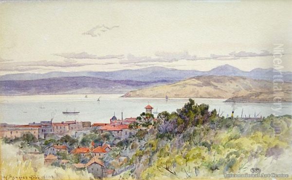 Lyttleton - view 1