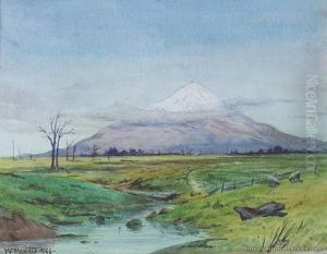 Mt Egmont by William Menzies Gibb