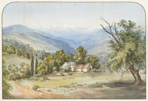 Landscape Landscape