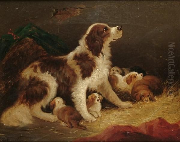 A Spaniel And Puppies - view 1