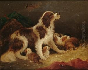 A Spaniel And Puppies