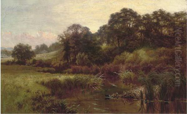 A Meandering Summer River - view 1