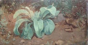 La Plante by Jean-Baptiste-Adolphe Gibert